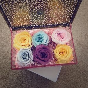 Preserved rose box